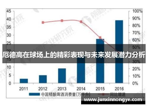 厄德高在球场上的精彩表现与未来发展潜力分析