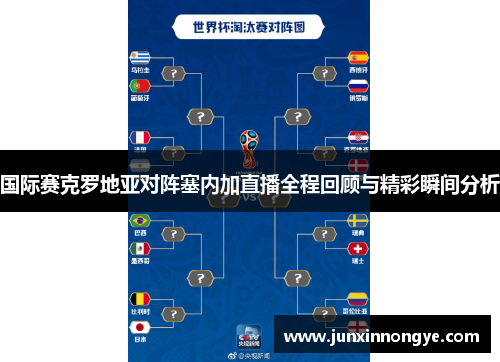 国际赛克罗地亚对阵塞内加直播全程回顾与精彩瞬间分析