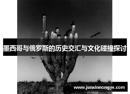 墨西哥与俄罗斯的历史交汇与文化碰撞探讨