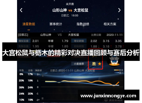大宫松鼠与枥木的精彩对决直播回顾与赛后分析