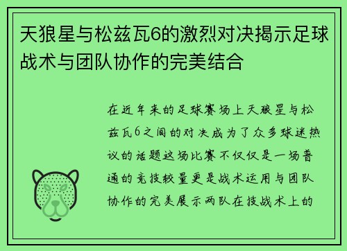 天狼星与松兹瓦6的激烈对决揭示足球战术与团队协作的完美结合
