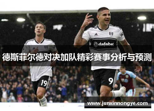 德斯菲尔德对决加队精彩赛事分析与预测