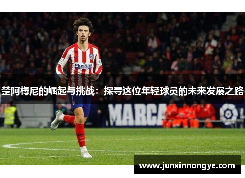楚阿梅尼的崛起与挑战：探寻这位年轻球员的未来发展之路