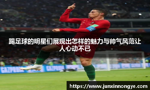 星空·综合体育官方网站