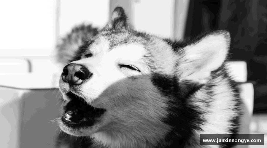 星空·综合体育官方网站运动无止境，成就无限